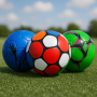 Minge de fotbal 5-99/13-14